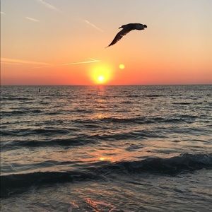 Meet your Posher, Brooklyn